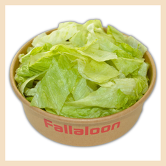 Grüner Salat Fallaloon 017 1