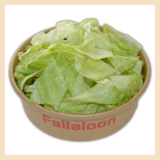 Grüner Salat Fallaloon 017