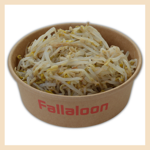 Sojasprossen-Salat Fallaloon 1018 k